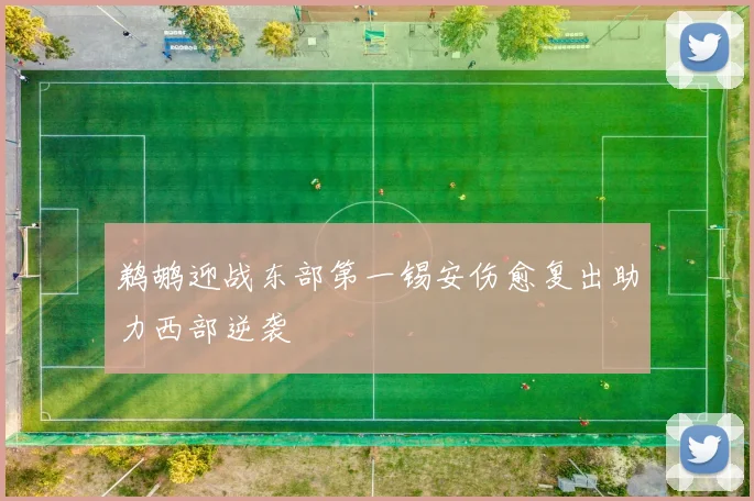 鹈鹕迎战东部第一锡安伤愈复出助力西部逆袭