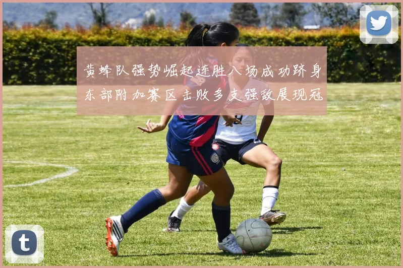 黄蜂队强势崛起连胜八场成功跻身东部附加赛区击败多支强敌展现冠军潜力